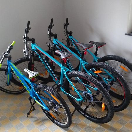Familien-Sportappartements Wetzel Menzenschwand-Hinterdorf エクステリア 写真
