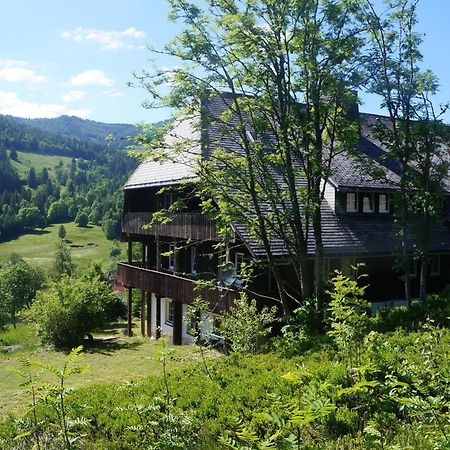 Familien-Sportappartements Wetzel Menzenschwand-Hinterdorf エクステリア 写真