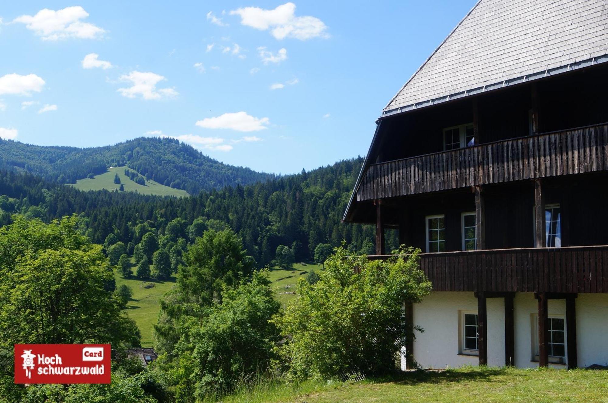Familien-Sportappartements Wetzel Menzenschwand-Hinterdorf エクステリア 写真