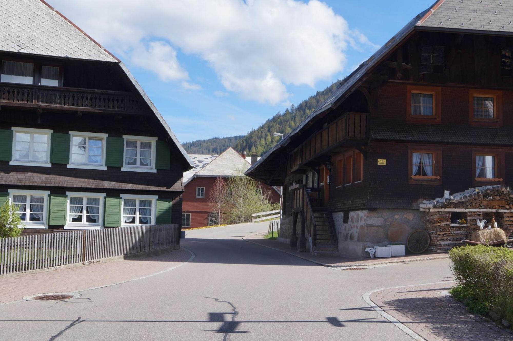 Familien-Sportappartements Wetzel Menzenschwand-Hinterdorf エクステリア 写真