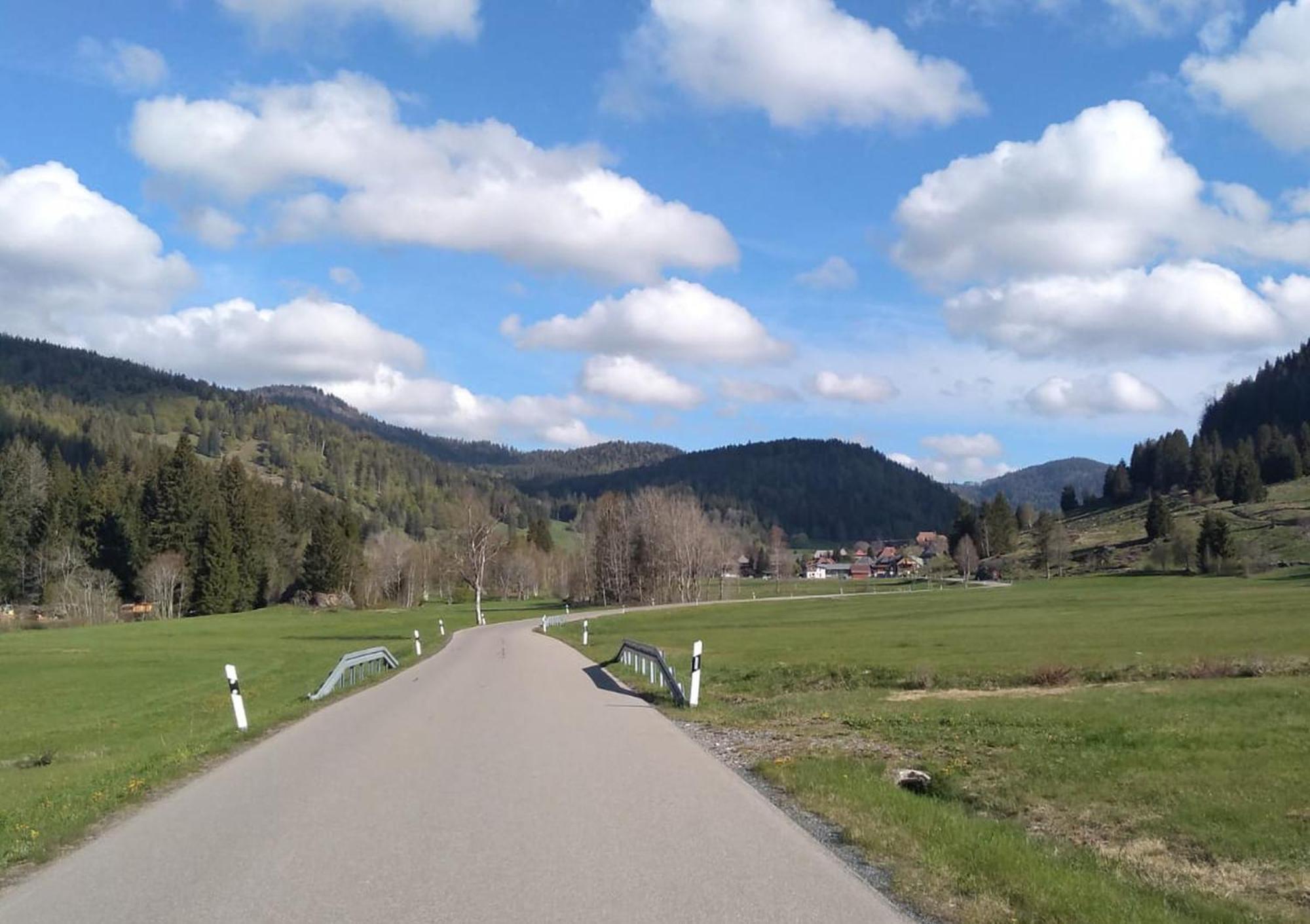 Familien-Sportappartements Wetzel Menzenschwand-Hinterdorf エクステリア 写真
