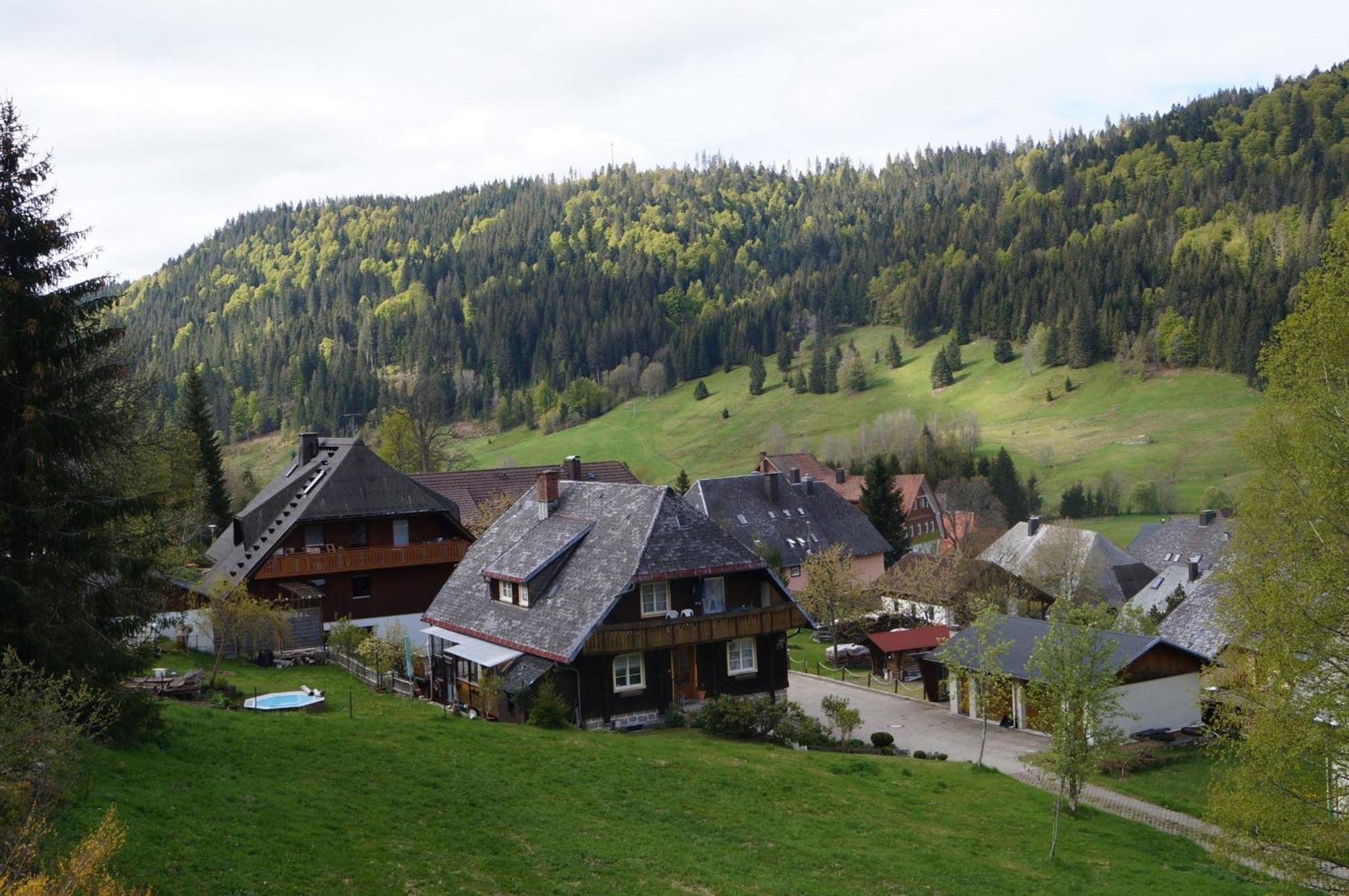 Familien-Sportappartements Wetzel Menzenschwand-Hinterdorf エクステリア 写真