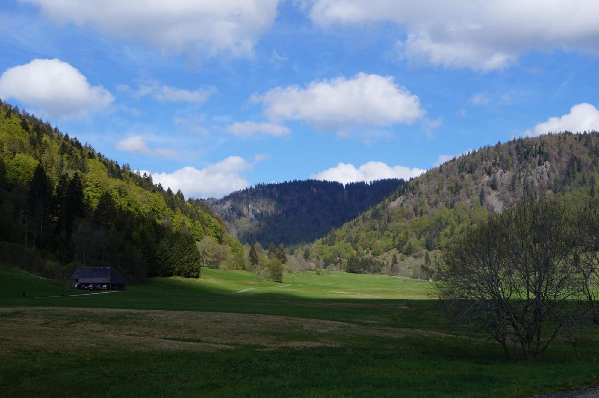Familien-Sportappartements Wetzel Menzenschwand-Hinterdorf エクステリア 写真