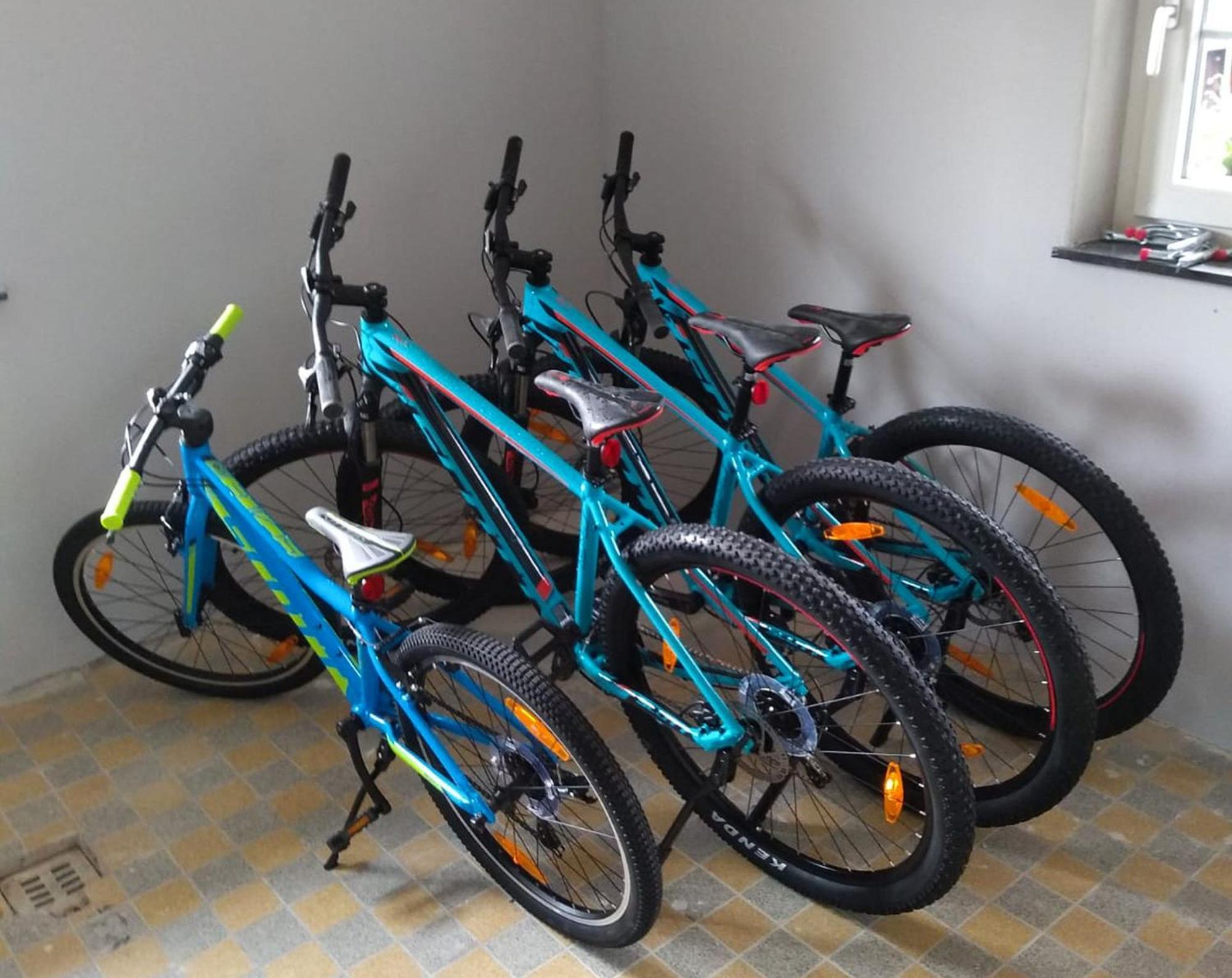 Familien-Sportappartements Wetzel Menzenschwand-Hinterdorf エクステリア 写真