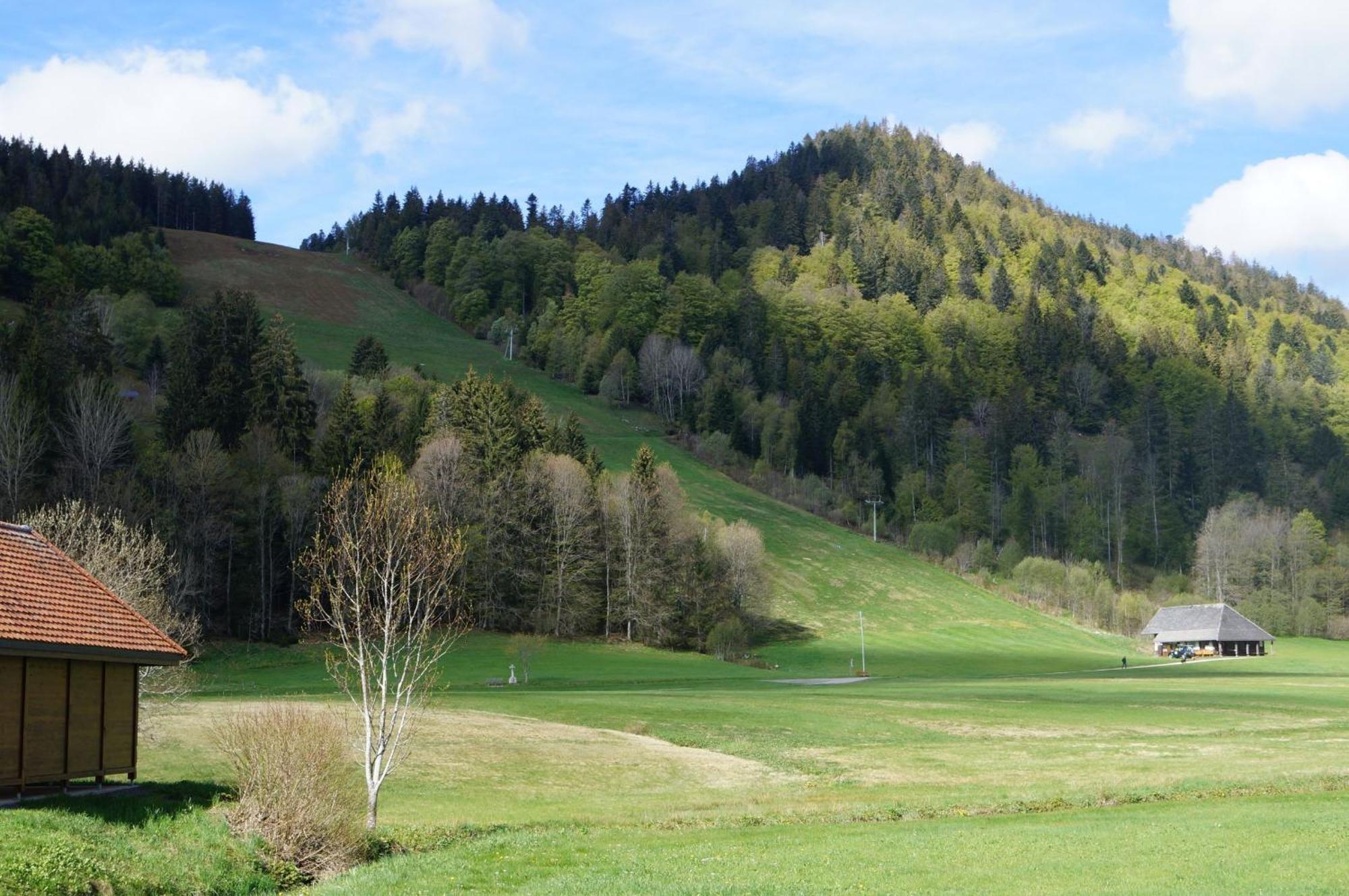 Familien-Sportappartements Wetzel Menzenschwand-Hinterdorf エクステリア 写真