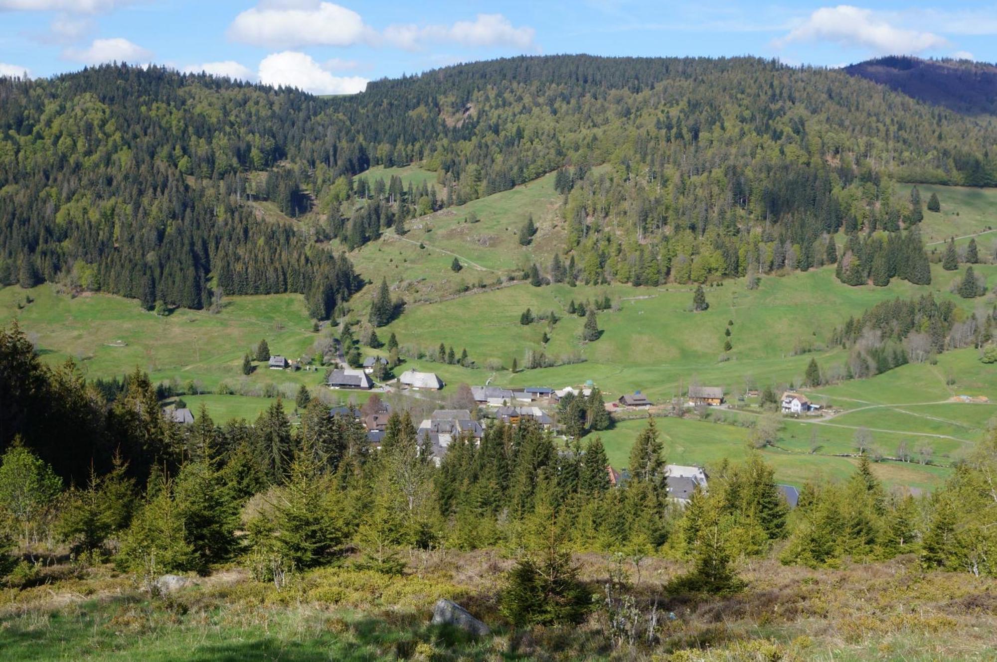 Familien-Sportappartements Wetzel Menzenschwand-Hinterdorf エクステリア 写真