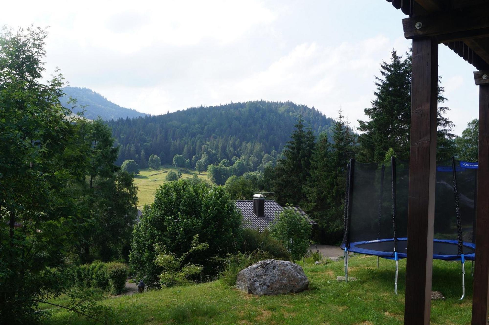 Familien-Sportappartements Wetzel Menzenschwand-Hinterdorf エクステリア 写真