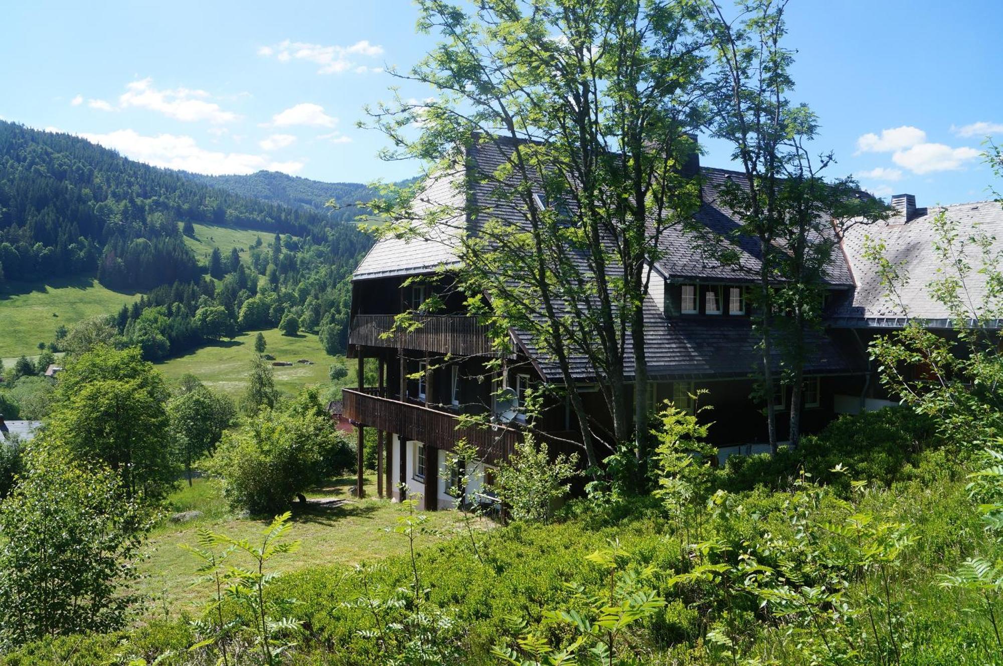 Familien-Sportappartements Wetzel Menzenschwand-Hinterdorf エクステリア 写真