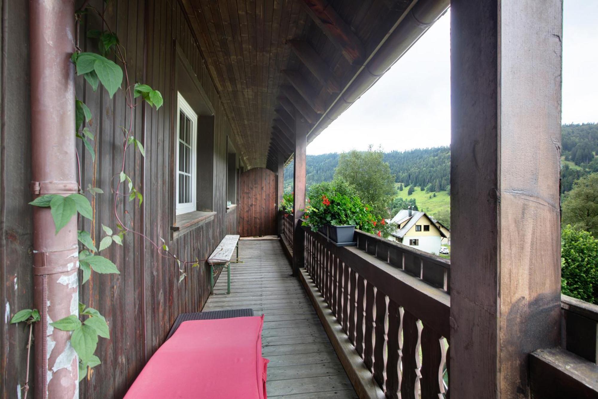 Familien-Sportappartements Wetzel Menzenschwand-Hinterdorf エクステリア 写真
