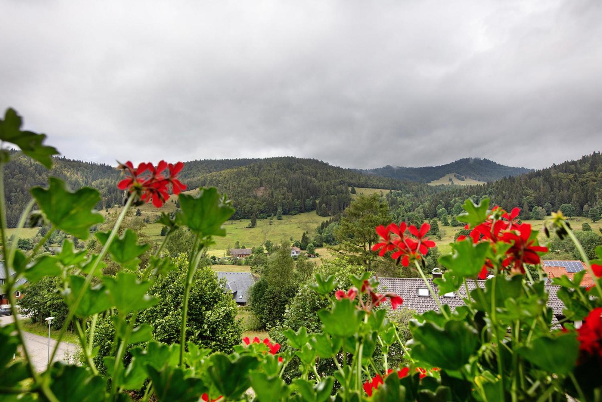 Familien-Sportappartements Wetzel Menzenschwand-Hinterdorf エクステリア 写真