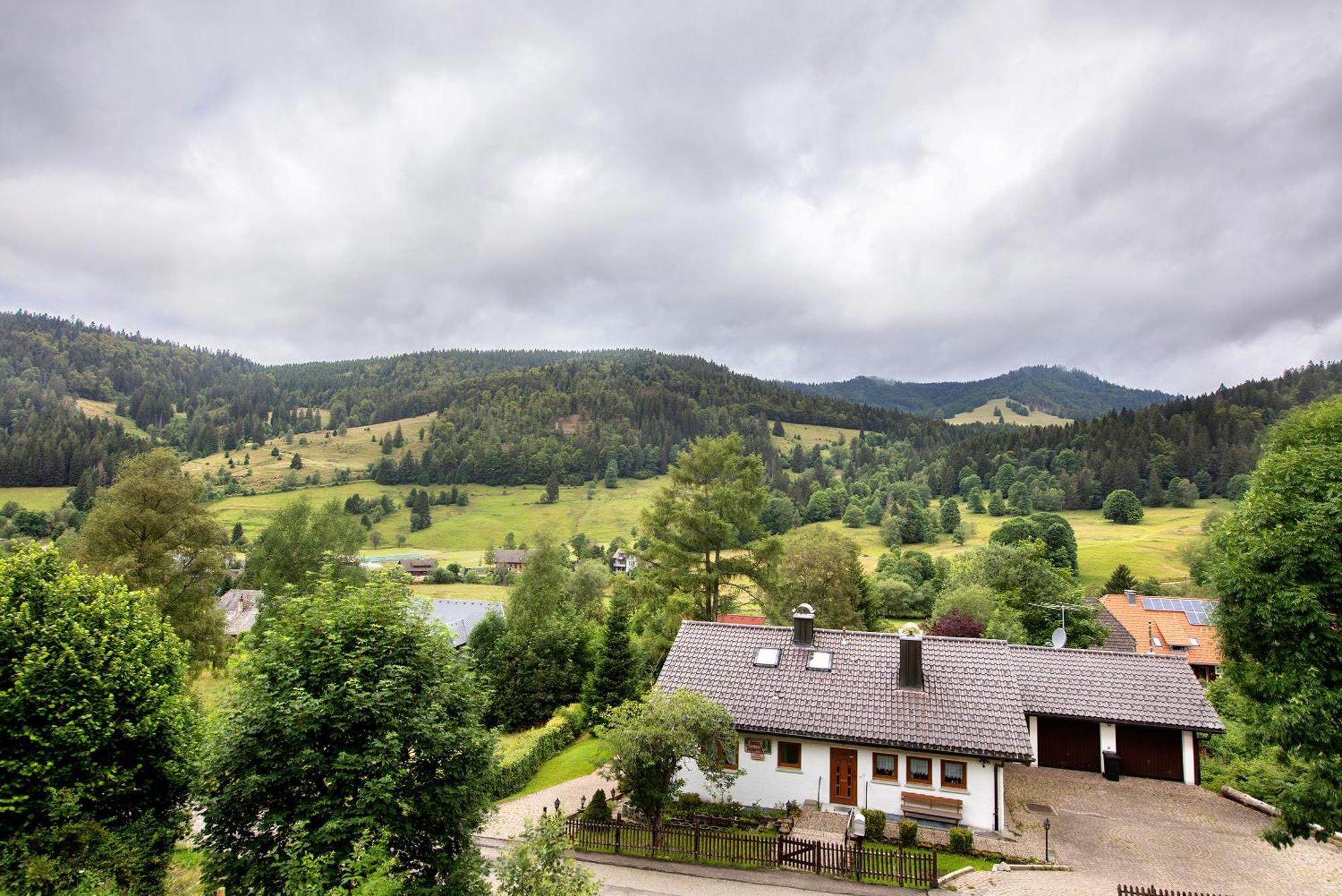 Familien-Sportappartements Wetzel Menzenschwand-Hinterdorf エクステリア 写真