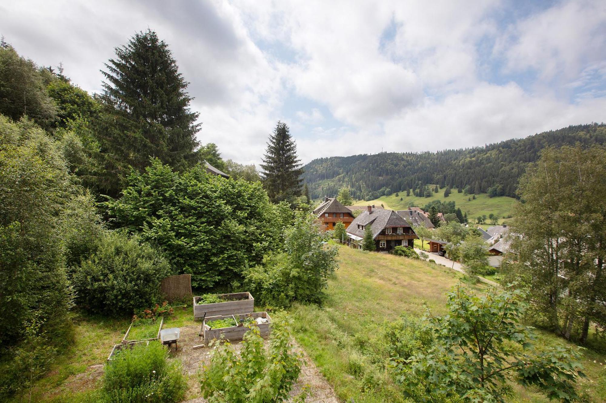 Familien-Sportappartements Wetzel Menzenschwand-Hinterdorf エクステリア 写真