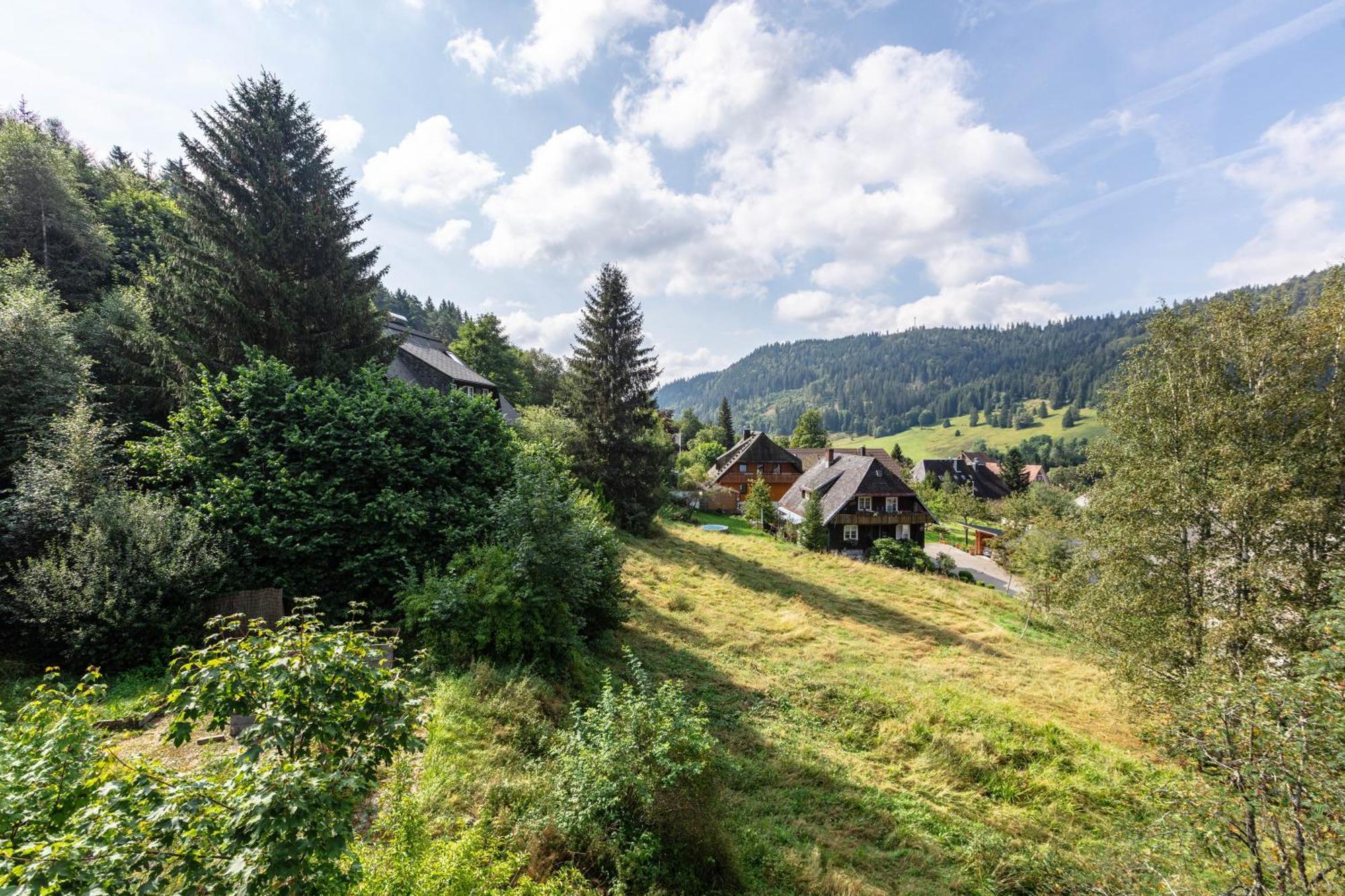 Familien-Sportappartements Wetzel Menzenschwand-Hinterdorf エクステリア 写真